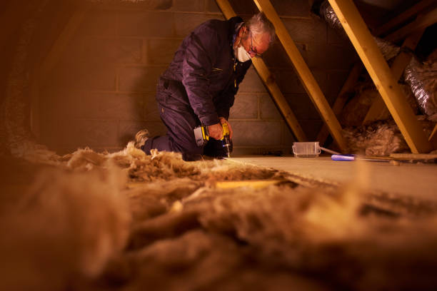 Best Types of Insulation in Anacoco, LA